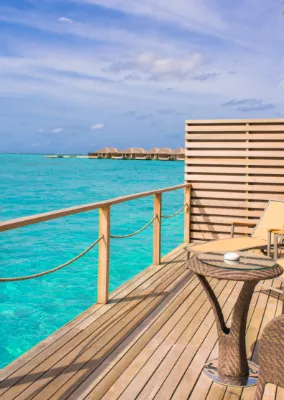 Michael | Rasheed Project